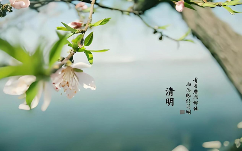 清明：梨花风起正清明
